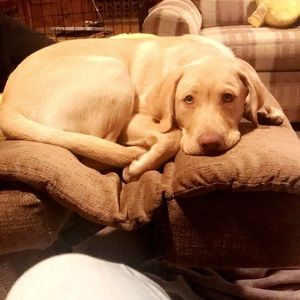 Meet your Posher, Erica